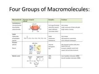 Four Groups of Macromolecules: