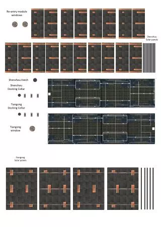 Re -entry module windows