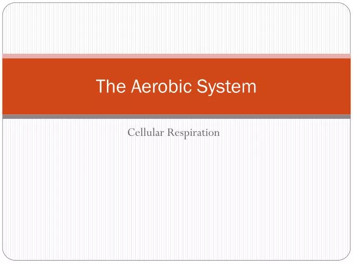 the aerobic system