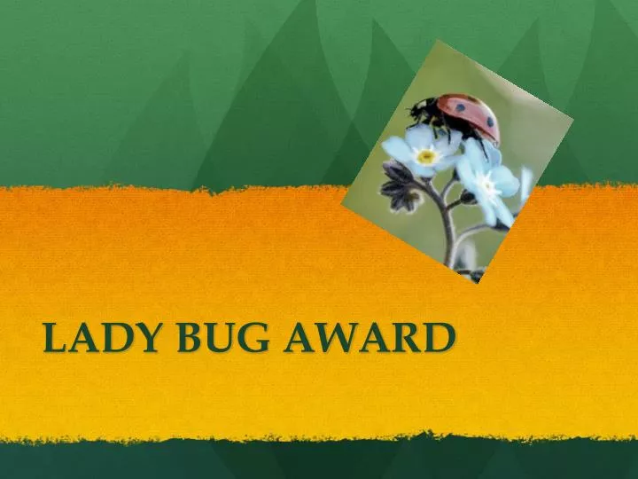 lady bug award