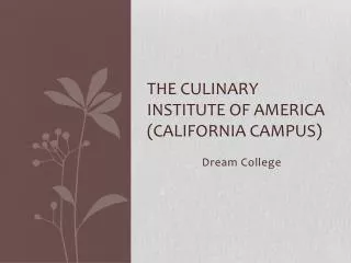 The Culinary institute of America (California campus)