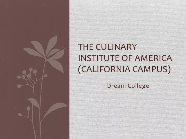 the culinary institute of america california campus