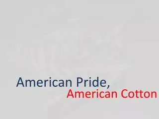 American Pride,