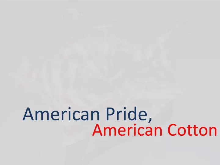 american pride