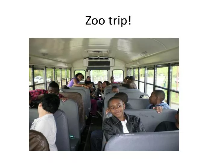 zoo trip