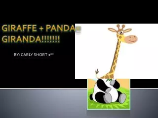 Giraffe + Panda= GIRANDA!!!!!!!