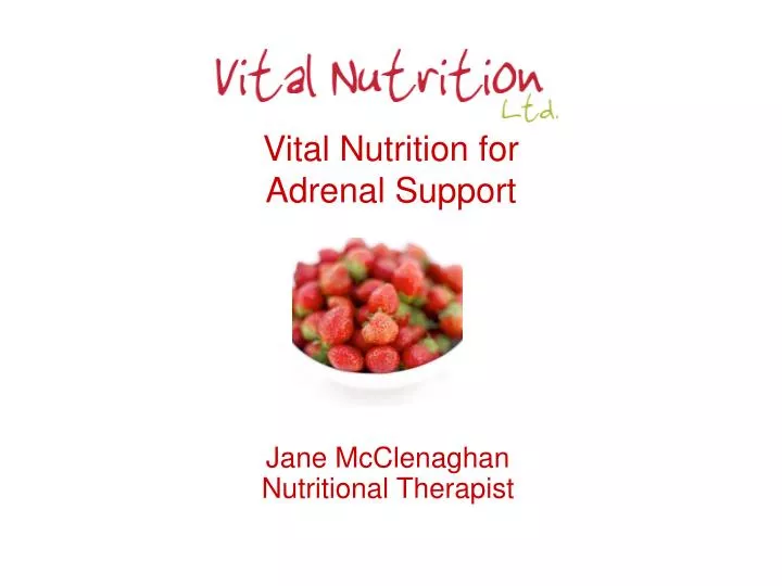 vital nutrition for adrenal support