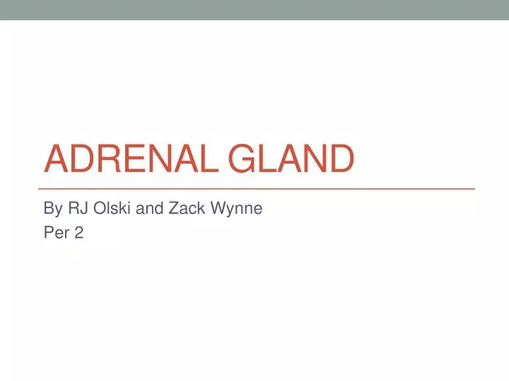 adrenal gland