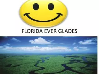 FLORIDA EVER GLADES
