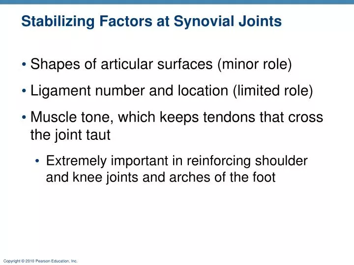 stabilizing factors at synovial joints