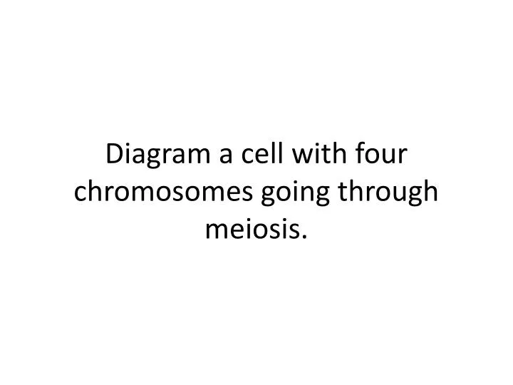 diagram a cell with four chromosomes going through meiosis