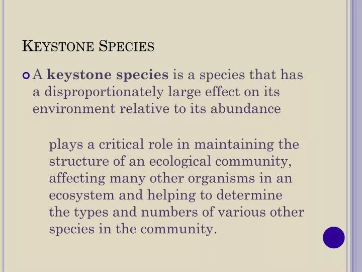 Keystone Species - Definition, Examples, Importance