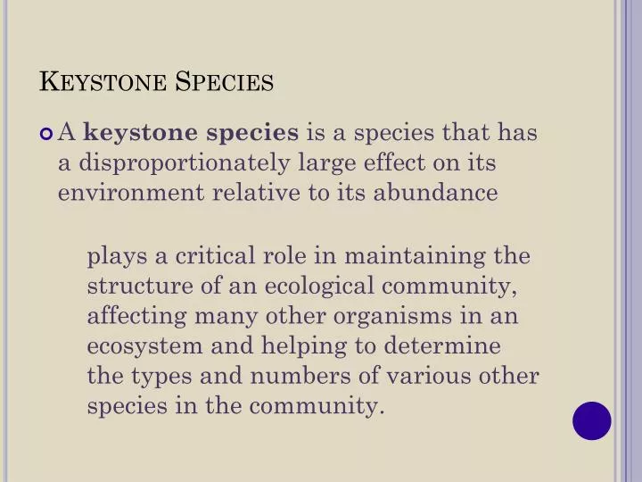 Role of Keystone Species in an Ecosystem