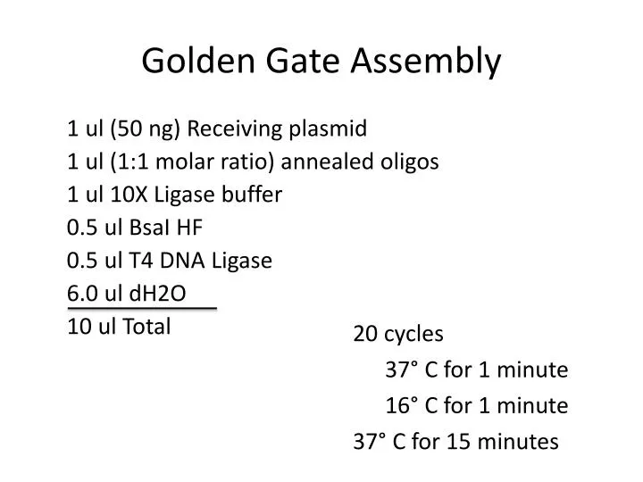 golden gate assembly
