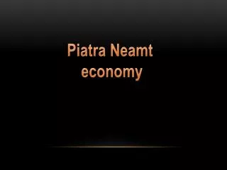 Piatra Neamt economy