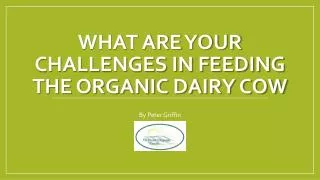 What are your challenges in feeding the organic dairy cow