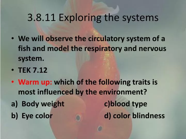 3 8 11 exploring the systems