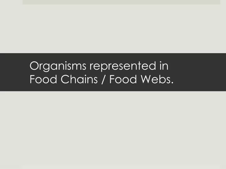 organisms represented in food chains food webs
