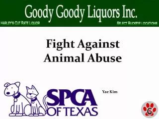 Fight Against Animal Abuse