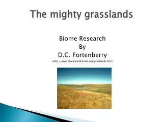 The mighty grasslands