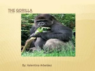 THE GORILLA