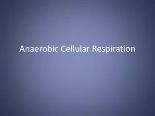 Anaerobic Cellular Respiration