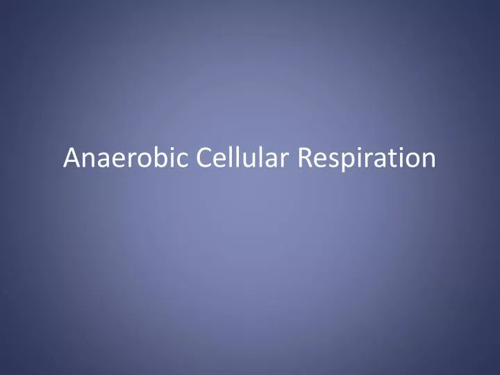anaerobic cellular respiration