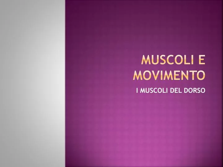 muscoli e movimento
