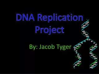 DNA Replication Project