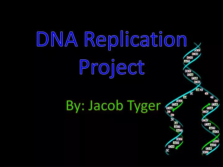 dna replication project