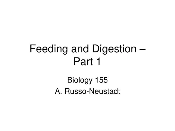 feeding and digestion part 1