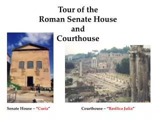 Tour of the Roman Senate House and Courthouse