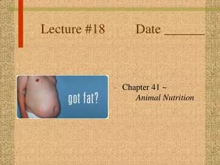 Lecture #18 Date ______