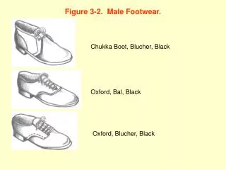 Figure 3-2. Male Footwear.