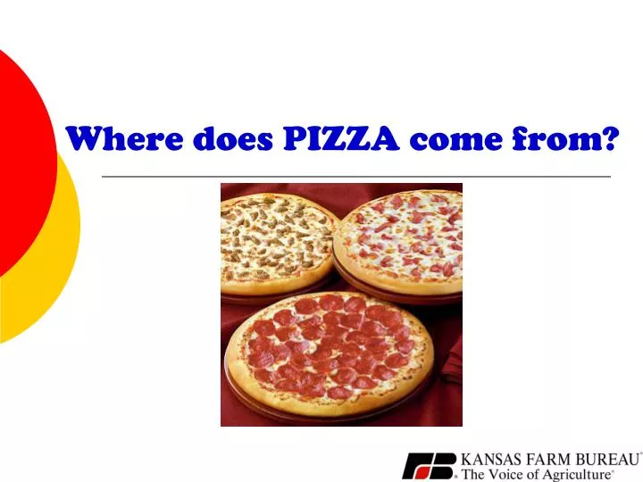 where does pizza come from