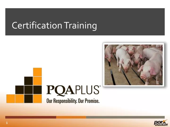 certification training
