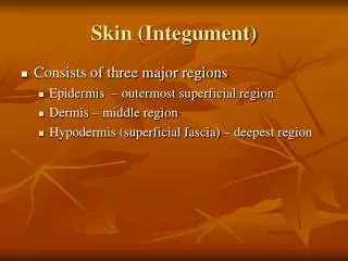 Skin (Integument)