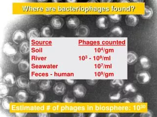 Where are bacteriophages found?
