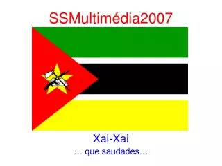 ssmultim dia2007