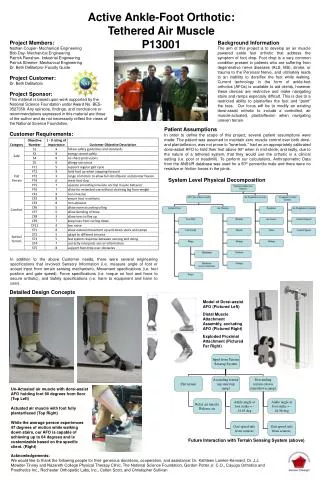 Active Ankle-Foot Orthotic: Tethered Air Muscle P13001