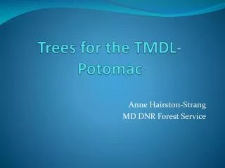 Trees for the TMDL-Potomac