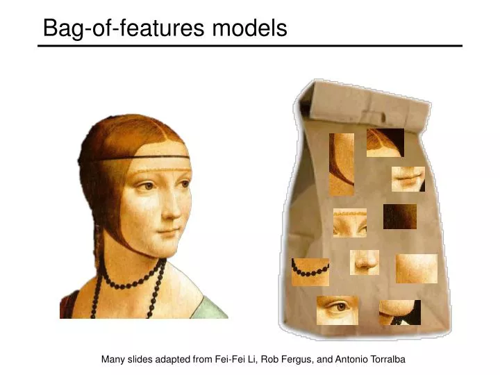 bag of features models