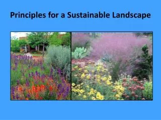 Principles for a Sustainable Landscape