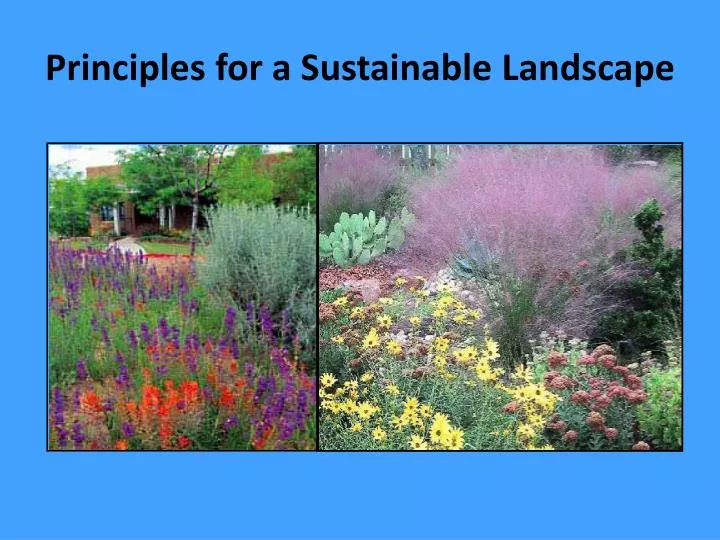 principles for a sustainable landscape