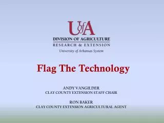 Flag The Technology