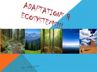 Adaptations &amp; Ecosystems!!!