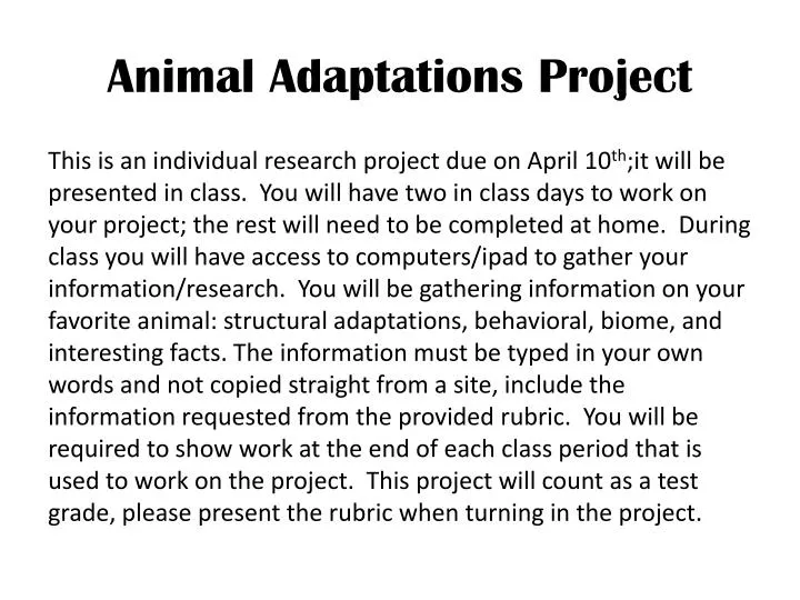 animal adaptations project