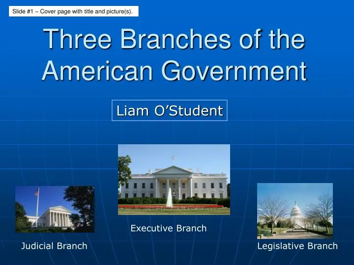 three branches of the american government