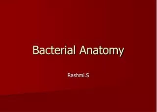 Bacterial Anatomy