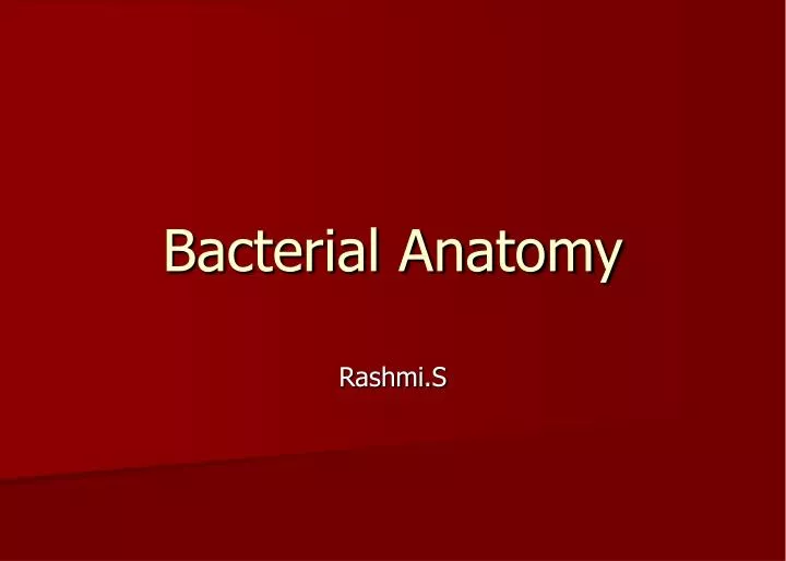 bacterial anatomy